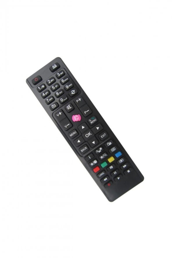 REGAL 40r8070 Led Tv Kumandası - 3