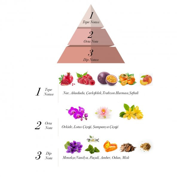 Free Love Eurodream EDP Kadın Parfüm 100 ml - 2