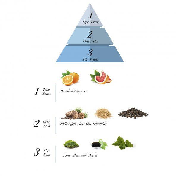 Prova Heracles EDP Erkek Parfüm 2 x 100 ml - 2