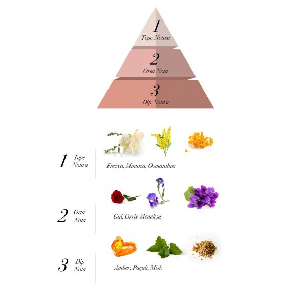 Sabotage Secret EDT Kadın Parfüm 100 ml - 2