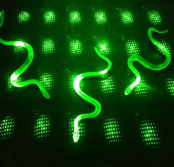 Şaka Yılan Ve Kırkayak Karışık 36 Adet ürün görseli