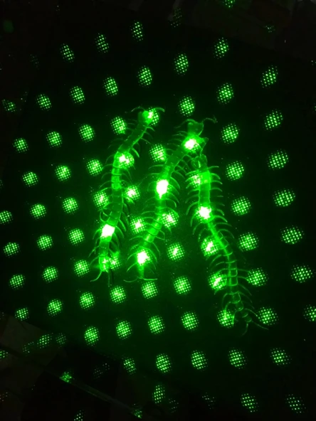 Şaka Yılan Ve Kırkayak Karışık 36 Adet - Resim 4