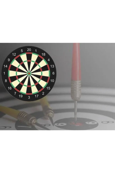 admay Dart Seti Küçük Boy 30 Cm 12'' (12 Inç) + 4 Adet Dart Oku - Çift Taraflı Hedef Tahtası Seti - 4