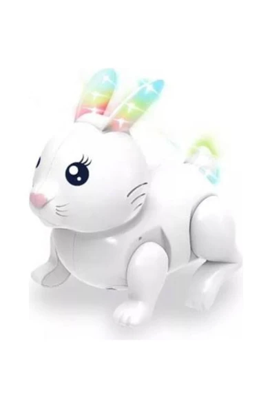 admay Rabbit pilli Işıklı müzikli hareketli oyuncak - 3