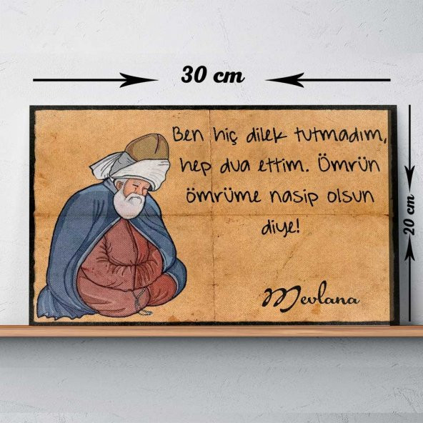 Mevlana Ben Hiç Dilek Tutmadım Baskılı Retro Tablo 517