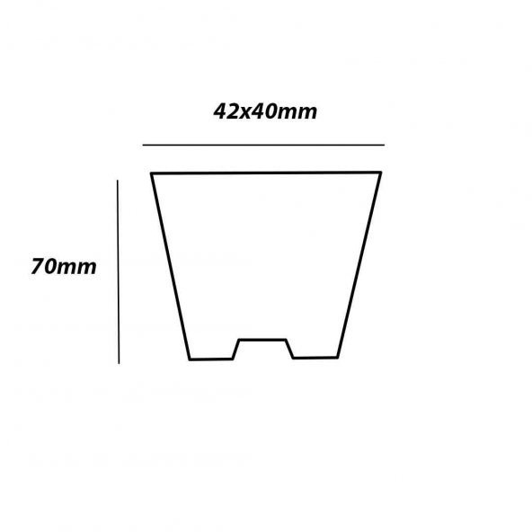 70 Göz Viyol (10 Adet) FİDE YETİŞTİRME VİYOLÜ FİDAN YETİŞTİRME KABI ÇİLEK SEBZE MEYVE SÜS BİTKİSİ SKULENT FİDELİK - 3