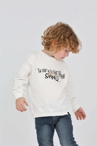 Toontoy Erkek Çocuk Tnty Design Baskılı Sweatshirt - Resim 12