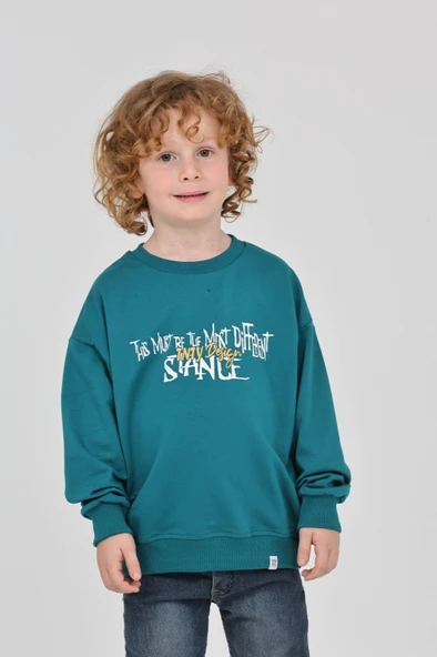 Toontoy Erkek Çocuk Tnty Design Baskılı Sweatshirt - Resim 9