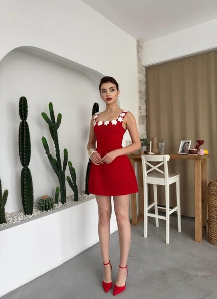 Alyosa Çiçek Detaylı Elbise - Resim 5