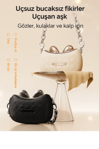 QASUL Şık Çanta Görünümlü Bluetooth Kulaklık Spor  Klip Kulaklık - 2