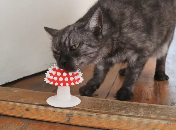 Mantar Görünümlü Kedi Kaşıma Oyuncağı Tımar Mantarı Duvara Yapıştırılabilir - 3