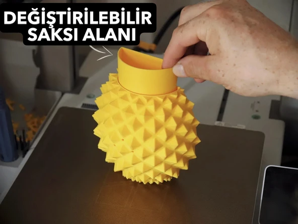 Ananas Şekilli Kedi Kaşıma Aparatı (Kedi Çimi Eklenebilir  Duvara Montaj  Dekoratif Tasarım) - 2