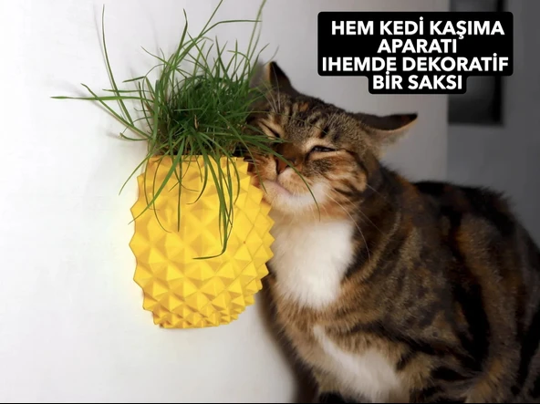 Ananas Şekilli Kedi Kaşıma Aparatı (Kedi Çimi Eklenebilir  Duvara Montaj  Dekoratif Tasarım) - 3