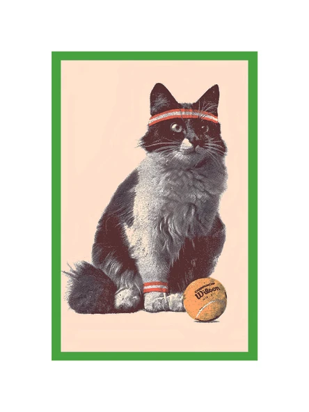 Sevimli Kedi Temalı Tasarım Kart  Dekoratif Hediye Not Kartı ve Kartpostal  10x15 cm - 1