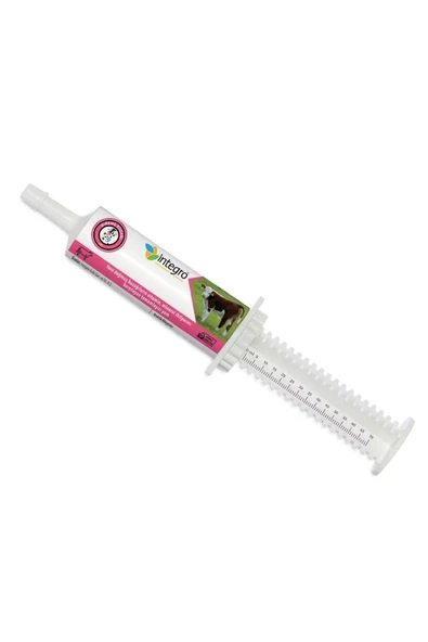 İntegro  İntego DİRENÇ KUZU 25 Gr. 3'LÜ PAKET ürün görseli