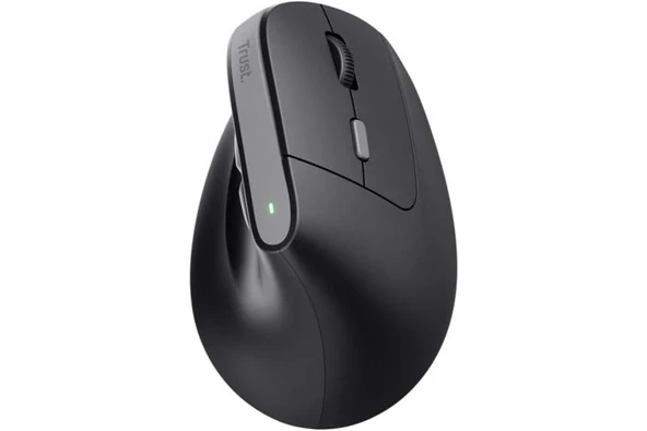 Trust TM-270 Ergonomik Kablosuz Mouse - Siyah - Resim 2