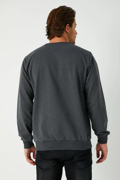 Erkek Antrasit Basic Bisiklet Yaka Sweatshirt - Resim 5