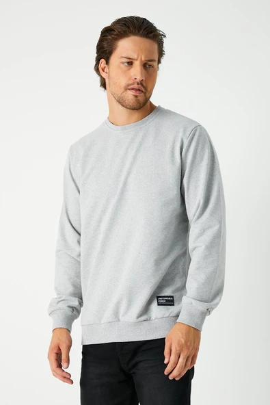Erkek Gri Basic Bisiklet Yaka Sweatshirt - Resim 3