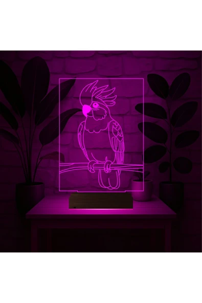 Kirppi 3d Lamba Kakadu Papağan Pet Shop Masa Gece Lambası - 3