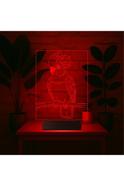 Kirppi 3d Lamba Kakadu Papağan Pet Shop Masa Gece Lambası - 2