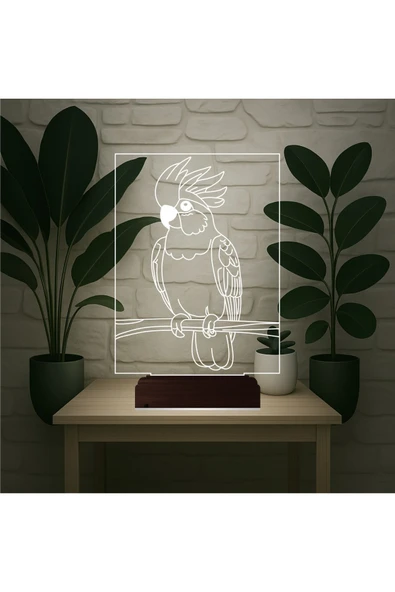 Kirppi 3d Lamba Kakadu Papağan Pet Shop Masa Gece Lambası - 6