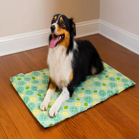 Pawise Çiçek Desenli Köpek Serinletici Soğutucu Mat MD 65x50Cm - 3