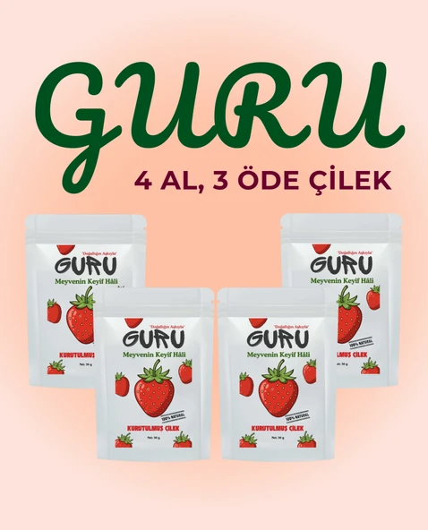 Guru 4 Al 3 Öde Çilek Kurusu Seti Meyve Kurusu - 1