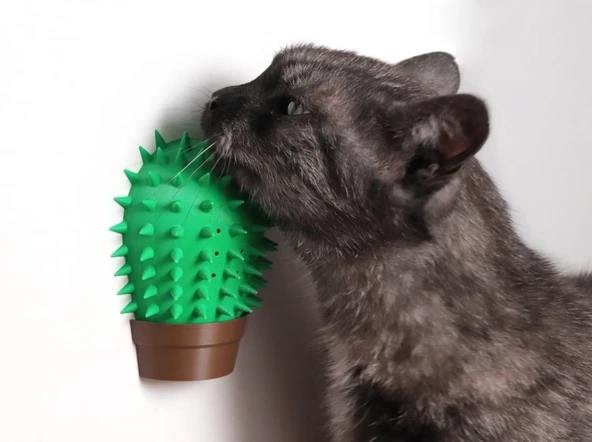 Kaktüs Kedi Kaşıma Aparatı Catnip Hazneli, Duvara Takılabilir Oyuncak - 3