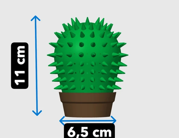 Kaktüs Kedi Kaşıma Aparatı Catnip Hazneli, Duvara Takılabilir Oyuncak - 2