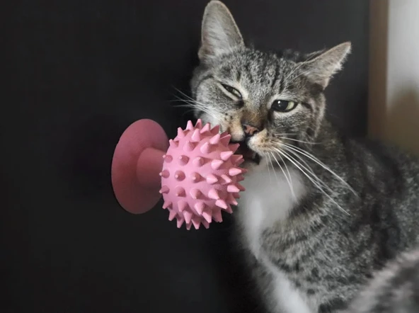 Mantarlı Kedi Kaşıma Oyuncağı (Pembe Renk) Tımar Mantarı Catnip Uyumlu, Duvara Yapıştırılabilir