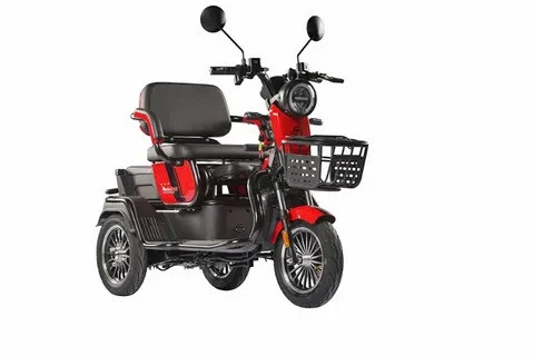 Motolux Fayton FX08 600 W 3 Tekerlekli Elektrikli Motosiklet - 1