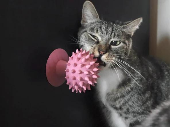 Mantarlı Kedi Kaşıma Oyuncağı (Pembe Renk) Tımar Mantarı Catnip Uyumlu, Duvara Yapıştırılabilir - 2