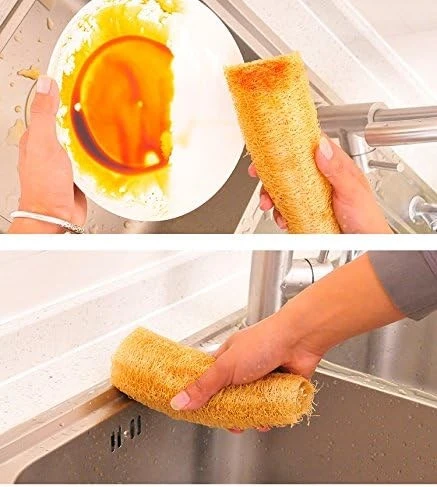 Ham Kabak Lifi 50-70 cm – Doğal Peeling Süngeri - 4