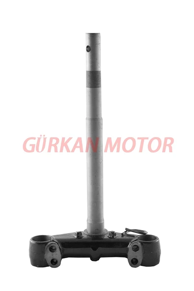 ÖN MAŞA FİZY ürün görseli