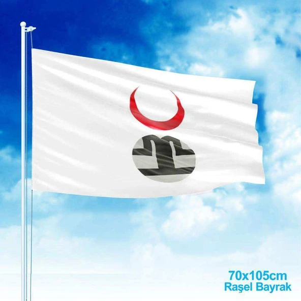 Altın Ordu Devleti Bayrağı-17 Eski Türk Devleti Bayrağı -70x105 cm ürün görseli