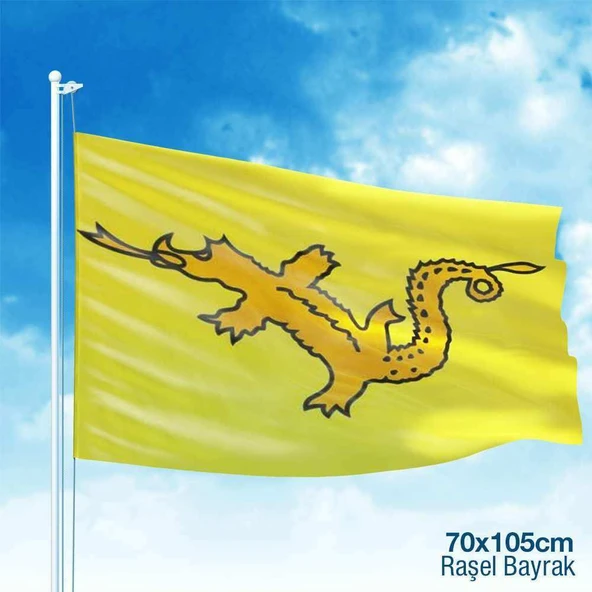 Büyük Hun İmparatorluğu - 17 Eski Türk Devleti Bayrağı -70x105 cm ürün görseli