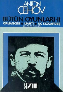 Bütün Oyunları 2 ürün görseli 1