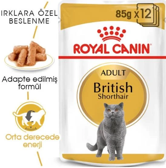 Royal Canin British Shorthair İçin Özel Yetişkin Kedi Maması 85 gr x 12 ad ürün görseli