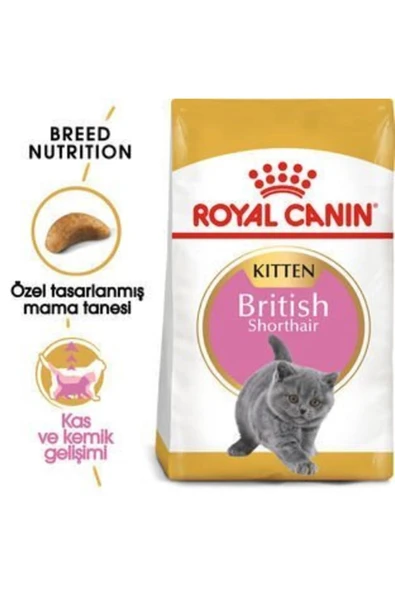 Royal Canın British Shorthair Yavru Kedi Maması 2kg - Resim 3