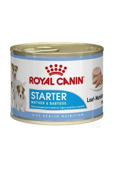 Royal Canin Starter Mousse Anne Ve Yavruları Için Köpek Konservesi 195 gr ürün görseli