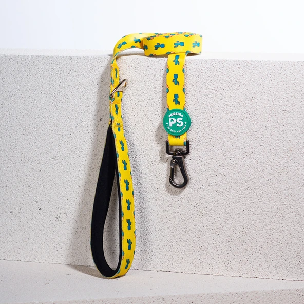 Pawstar Cactus Köpek Gezdirme Kayışı 120 cm x 2 cm - 1