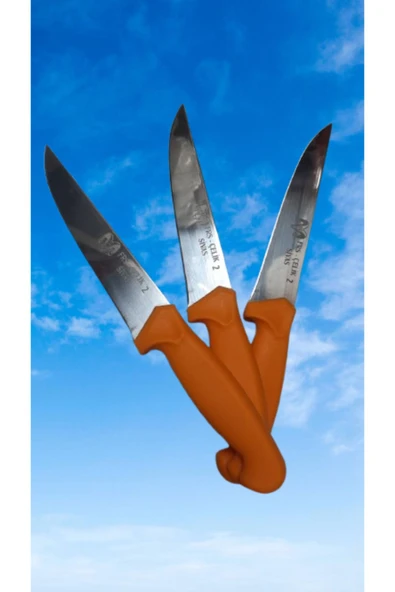 Hırdavatistan FRS ÇELİK 2 SİVAS %100 EL İŞÇİLİĞİ KASAP BİÇAĞI 14,5 CM 2 ADET - Resim 4