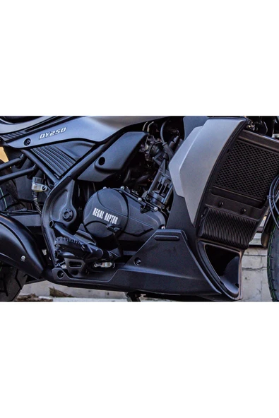 REGAL RAPTOR DY250 Cruiser Motorsiklet - 2