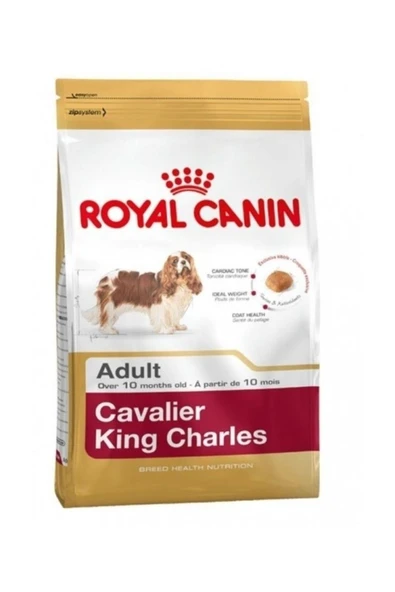 Royal Canin Cavalier King Charles 27 Yetişkin Köpek Maması 3 kg ürün görseli