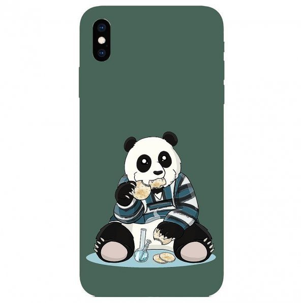 KNY Apple iPhone XS Max Kılıf Obur Panda Desen Lansman Silikon Yeşil
