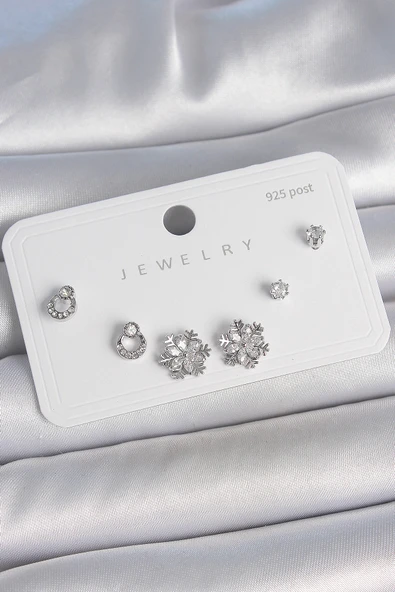 Pirinç Gümüş Renk Zirkon Taşlı Kar Tanesi Model 925 Ayar Gümüş Çivi Kadın Küpe Seti