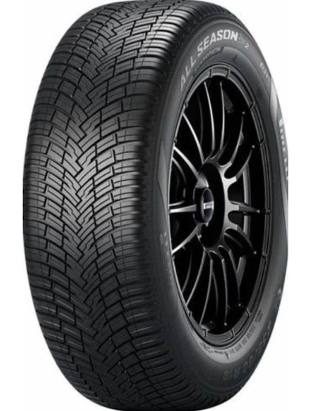 255/60R18 112V Scorpion All Season Sf2 Xl - 4 Mevsim Lastiği (2024 Üretim) ürün görseli