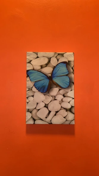 Beyaz Taşlar Ve Kelebek Natürel Tasarım Ahşap Çerçeve Ev İşyeri Ofis Duvar Kanvas Tablo DOĞA1 - 6