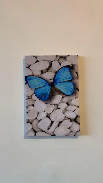 Beyaz Taşlar Ve Kelebek Natürel Tasarım Ahşap Çerçeve Ev İşyeri Ofis Duvar Kanvas Tablo DOĞA1 - 5