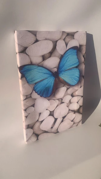 Beyaz Taşlar Ve Kelebek Natürel Tasarım Ahşap Çerçeve Ev İşyeri Ofis Duvar Kanvas Tablo DOĞA1 - 4